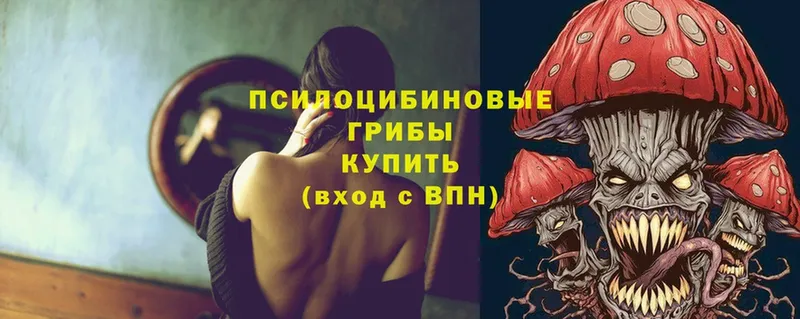 Галлюциногенные грибы MAGIC MUSHROOMS  даркнет формула  Новотроицк 